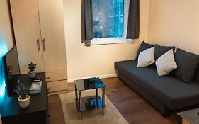 Comfy Apartment In Central London